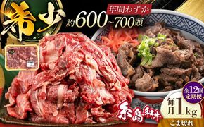 【全12回定期便】希少和牛！糸島和牛 こまぎれ 1kg 糸島市 / トラヤミートセンター 牛肉 黒毛和牛[AJD020]