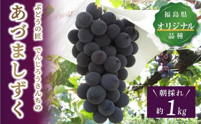 【先行予約】＼あづましずく 約1kg／ 高級 種無し 種なし 皮ごと 巨峰 ぶどう 品種 果物 フルーツ シャインマスカット ナガノパープル 人気 ランキング 贈答 ギフト 訳あり 納税 福島 ふくしま 田村市 たむら 鈴木農園 でんじろうさん