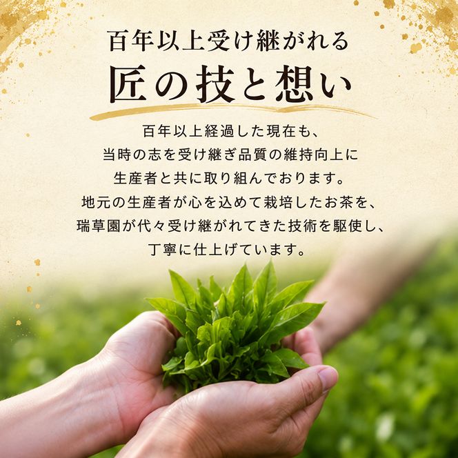 美濃いび茶セット TSH-30 飲料類 お茶 