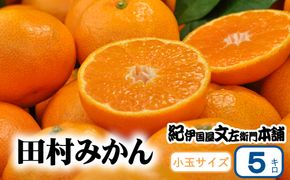 田村みかん 5kg 秀品【小玉サイズ】/紀州和歌山有田郡湯浅町田村地区産 ◆2026年11月下旬～2027年1月中旬頃に順次発送予定(お届け日指定不可)　紀伊国屋文左衛門本舗【kztb306B】