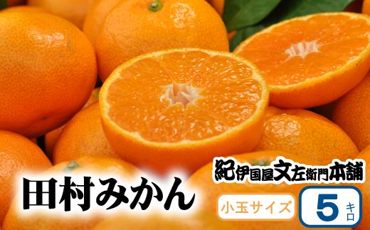 田村みかん 5kg 秀品【小玉サイズ】/紀州和歌山有田郡湯浅町田村地区産 ◆2026年11月下旬～2027年1月中旬頃に順次発送予定(お届け日指定不可)　紀伊国屋文左衛門本舗【kztb306B】
