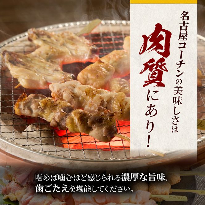 【半年に1回　計2回定期便】名古屋コーチン焼鳥セット・名古屋コーチン鍋&名古屋コーチン1羽分セット［001T09-T］