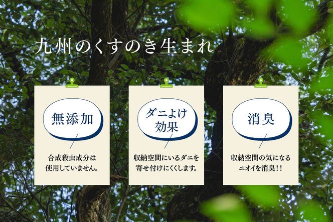 九州のくすのきから生まれたカンフルパウダー 15g×10パック【天然 楠 木 防虫剤 くすのき 衣替え カンフル】(H037108)