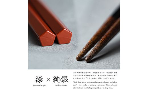 華正工房 うるしけんこう箸 食洗機対応 朱 (簡易包装) F6P-2842