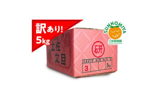 【先行予約】三宮果樹園の土佐文旦 訳あり 5kg〈2027年2月14日～2027年3月15日発送〉ぶんたん ブンタン 5キロ 10玉前後 フルーツ 柑橘 みかん 果物 くだもの 柑橘類 デザート ご自宅用 ご家庭用 自分用 お取り寄せ 高知県 土佐市【三宮果樹園】[BQAP005]