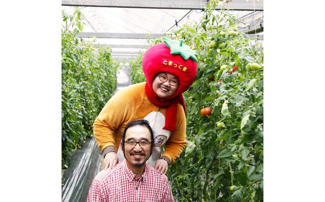 フルーツトマト食べくらべセット 1.5kg 