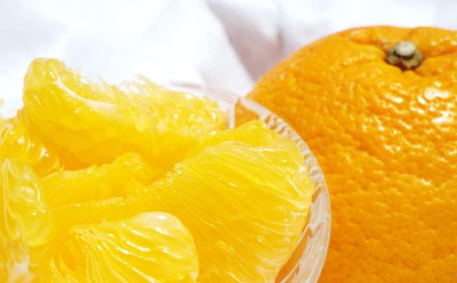 ★2026年3月下旬より発送★ こだわりの和歌山有田産木成り完熟八朔「さつき」 約5kg M～2Lサイズおまかせ BZ135