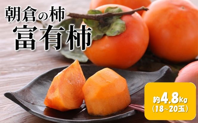 柿 富有柿 4.8kg 筑前あさくら農協 配送不可 離島 果物類 かき 