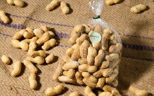 殻付き生落花生 おおまさり 約700g | らっかせい ピーナッツ おつまみ 鹿沼市 農家直送 ※2026年11月～発送