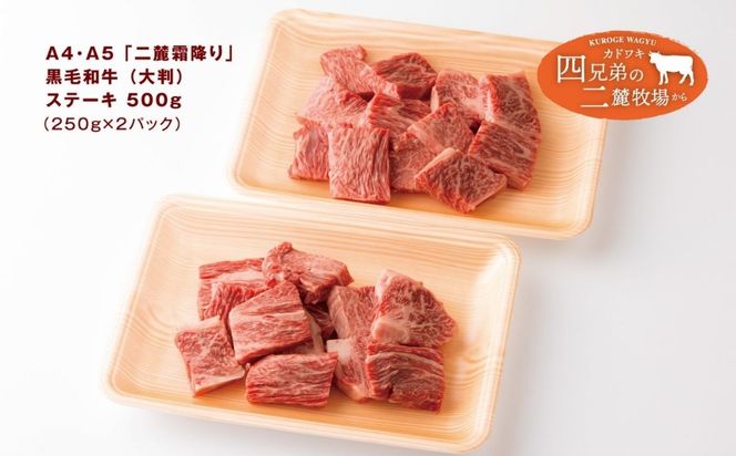 A4･A5「二麓（にろく）霜降り」黒毛和牛（大判）ひとくちステーキ 500g（250g×2） ニセコ連峰と鈴鹿山脈、二つの麓（ふもと）で育てた脂の質にこだわった美味しい霜降りをリーズナブルに│牛肉 国産牛 ブランド牛 冷凍便 年末年始 お正月 焼肉 BBQ 三重県 四日市市 ふるさと納税