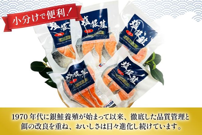 6回 定期便 塩銀鮭パック 3切×5袋×6回 総計30袋 [たみこの海パック 宮城県 南三陸町 m304amh560086] 鮭 切り身 サーモン 銀鮭 塩銀鮭 シャケ 切身 さけ サケ 国産 小分け 個包装 冷凍