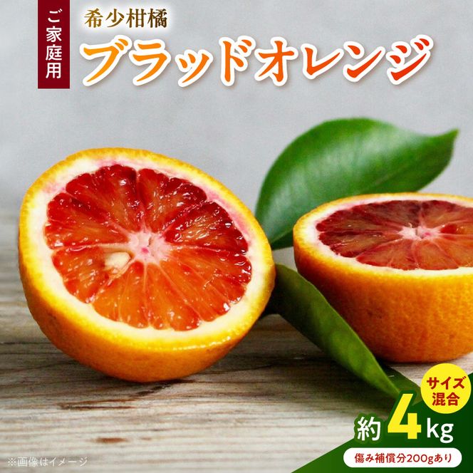 AB7371_Y_【直営限定】《先行予約・2027年3月発送》希少柑橘 ご家庭用 ブラッドオレンジ　サイズ混合/ご家庭用/4kg(傷み補償200g)