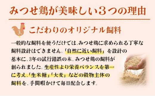 【定期便 年6回】みつせ鶏 バラエティ定期便 鶏肉 みつせ鶏 もも むね ささみ 手羽先 手羽元  ぶつ切り 正肉 バラ凍結 冷凍 国産 唐揚げ 親子丼 チキン南蛮 とり天 定期便