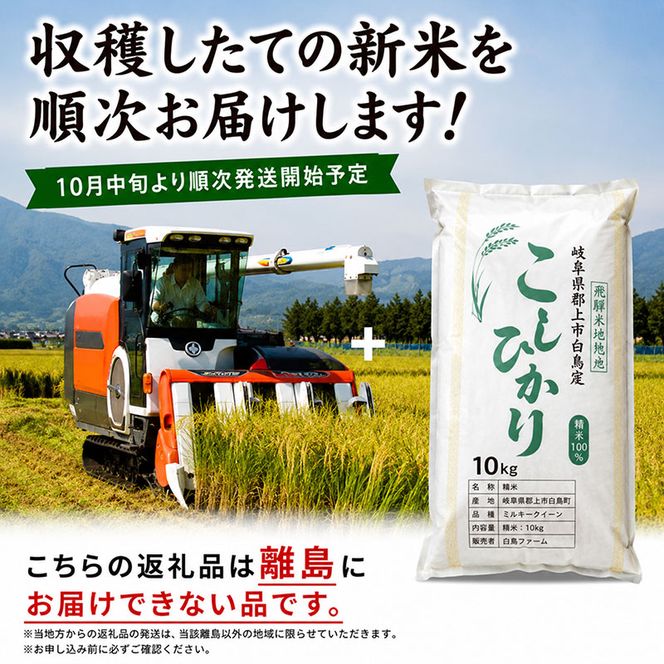 【令和7年産】特別栽培米 10kg【白米、7分ツキ】（コシヒカリ）