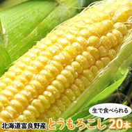 【2026年夏発送】富良野産 生で食べられる とうもろこし【恵味（めぐみ）】 20本 野菜 コーン