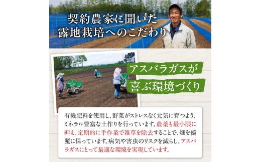 【2026年発送先行予約！】アスパラガス M・L混合 1kg！ アスパラ アスパラガス 野菜 旬 アスパラ アスパラガス 保存 北海道産 2026年 アスパラガス 産直 産地直送 お取り寄せ 清水町 北海道 _S021-0010