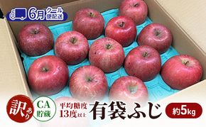 【6月 クール便配送】雪国鮮度をと閉じ込めた りんご 【糖度13度以上で選果】CA貯蔵 訳あり 有袋ふじ 約5kg リンゴ 果物 青森県 鶴田町