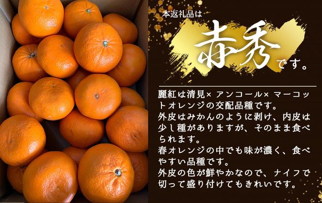 BF6062_【2027年先行受付】麗紅柑 (れいこう) 赤秀品 S～2Lサイズ 3kg 和歌山有田産