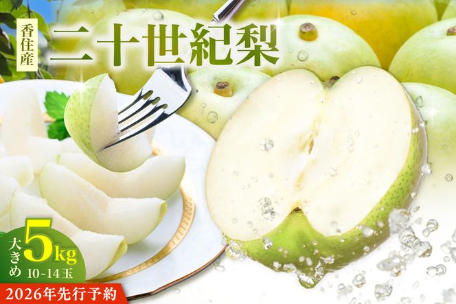 2026年産 先行予約【梨 20世紀梨 香住梨 5kg 大きめ（1玉350g～500gを10～14玉）】【令和8年8月下旬以降発送予定】二十世紀梨 大玉 シャキシャキ 甘味 瑞々しさ 香住梨 フルーツ フルーツ先行予約 果物 贈答品 ギフト なし ナシ 和梨 青梨 大人気 おすすめ ランキング 兵庫県 香美町 香住 JAたじま 16000円 12-05