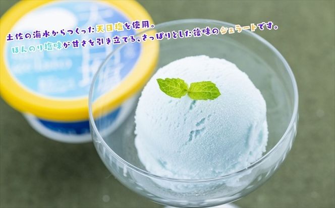 Made in 土佐★天日塩ジェラート6個（高知アイス）