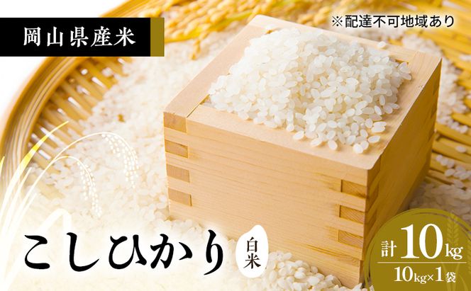 2026年度 先行受付 新米 岡山県産米 白米  こしひかり 10kg(10kg×1袋) お米 コメ 国産 岡山