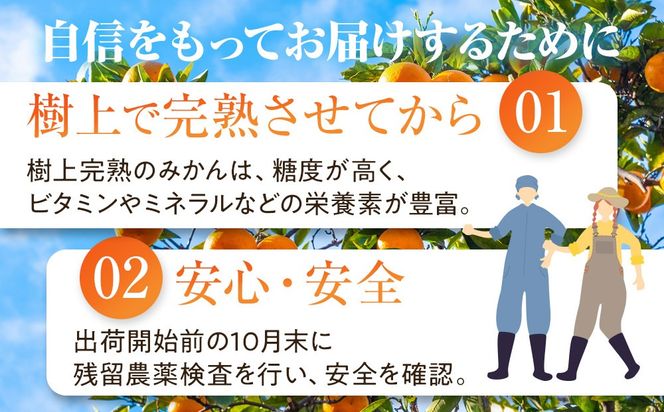 完熟 小粒 有田みかん 5kg 甘味凝縮 和歌山県産 産直45年 武内園 BA04 