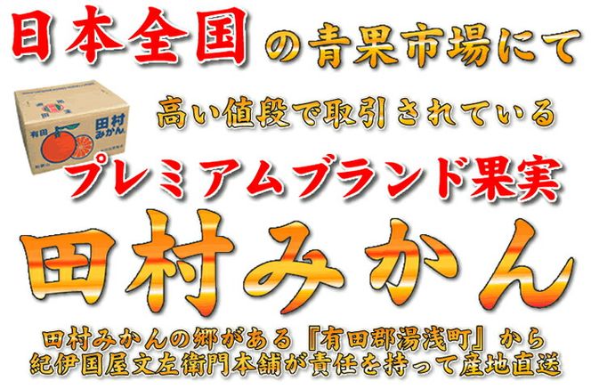 【2026年先行予約】田村みかん／5kg青秀／サイズ指定なし_V7450