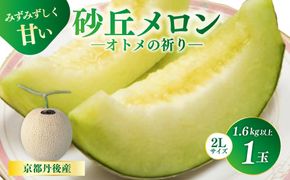 【先行予約】京都丹後久美浜産　砂丘メロン【オトメの祈り】　2Lサイズ／1玉入（2026年7月中旬～発送）　LP00003