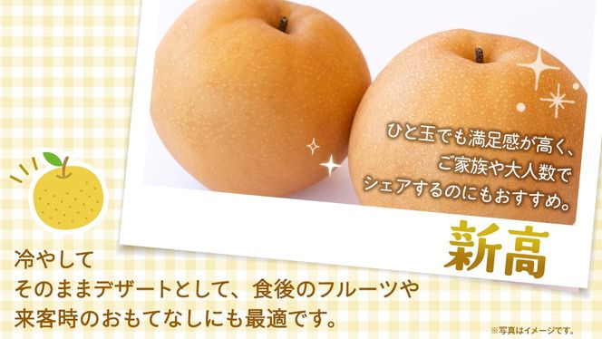 ＜ 訳あり ＞ 新高 約5kg 【2026年10月より発送開始】（茨城県共通返礼品 [梨]：大子町産） ご家庭用 フルーツ なし ナシ 和梨  梨 わけあり 果実 旬のフルーツ お取り寄せ くだもの 果物 みずみずしい