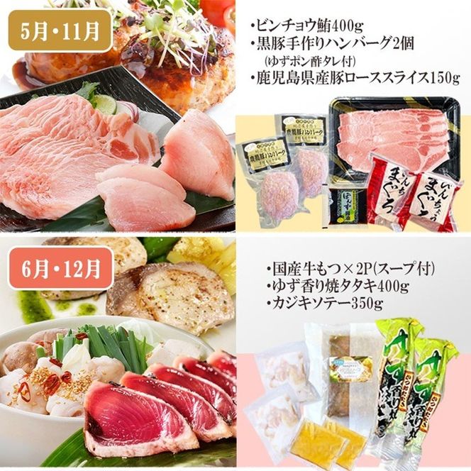 定期便6回配送 【当店限定】ごちそうまんきつセット FF-6004 【1492208】