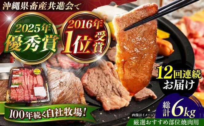 yꌧszyS12ցzyIIߕʁza nR ēp 500g  ē Ă a Ԑg s / ̃Tu[[BCBC013]