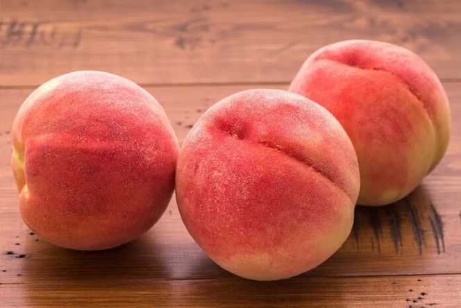 糖度13度以上　【最高品質】限定品　一宮のプレミアム桃　1.6ｋｇ以上（5玉） 168-004