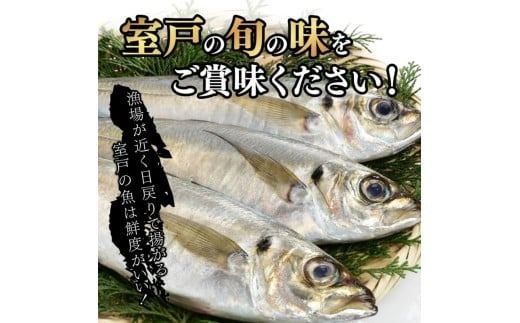 アジ 干物 定期便 トロアジの干物セット｜高知県室戸市 冷凍90日目安 偶数6回/奇数6回/毎月12回