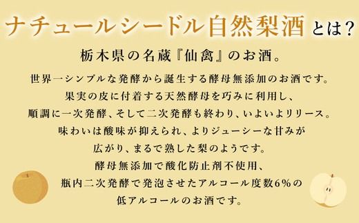 ドメーヌ･パーラー ナチュール シードル 自然梨酒 750ml｜数量限定 せんきん 栃木県 さくら市 送料無料