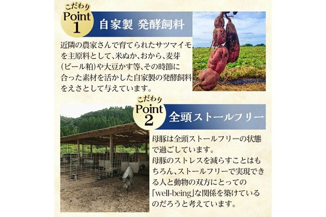 a829 月ノ灯牧場直送！保存料・添加物等不使用の鹿児島県産黒豚ソーセージとハム詰め合わせ合計600g(ソーセージ200g×2p・ハム100g×2p)完全無投薬・放牧黒豚のソーセージとハムをお届け【pig village company】