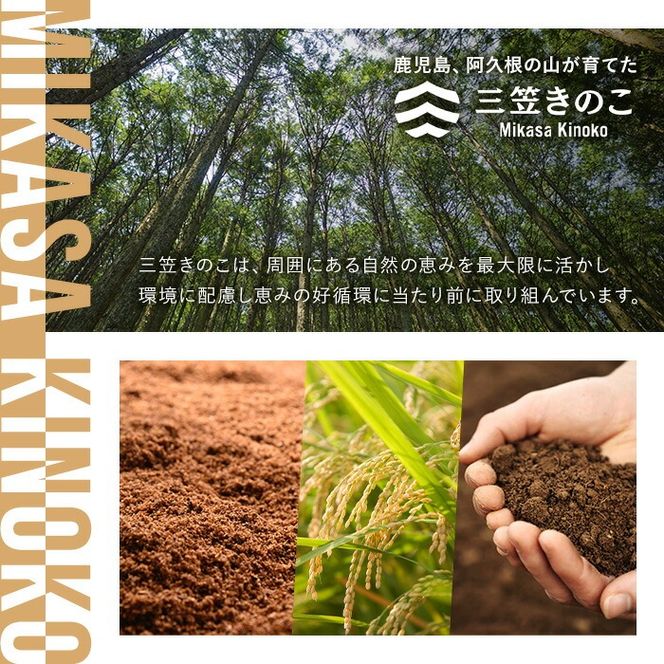 濃いえのき2種セット(20袋・合計530g) 国産 白えのき 黒えのき エノキ きのこ 茸 キノコ セット 個包装 乾燥 常温保存 【三笠えのき茸生産組合】akn010-22