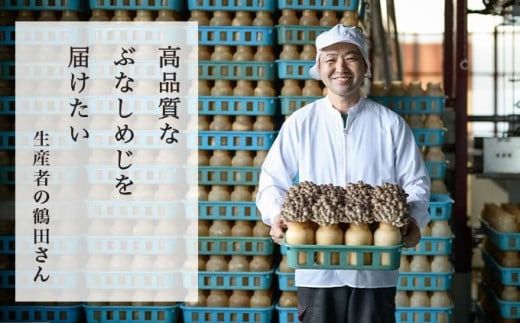 ぶなしめじ 300g × 4袋 300g × 6袋 選べる内容量 ［おぶせファーマーズ］ きのこ キノコ 野菜 鍋 炒め物 長野 信州