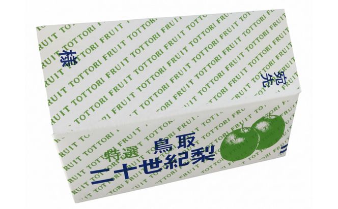 【先行予約】鳥取県産 二十世紀梨 3kg(8〜12玉) 良品 ご家庭用 / 梨 なし 青梨 和梨 2026年9月発送 フルーツ 312011_GN001