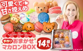 おまかせ マカロン ボックス 14個入 マカロン 焼菓子 スイーツ 愛西市 / ニコールマカロン[AEDA002]