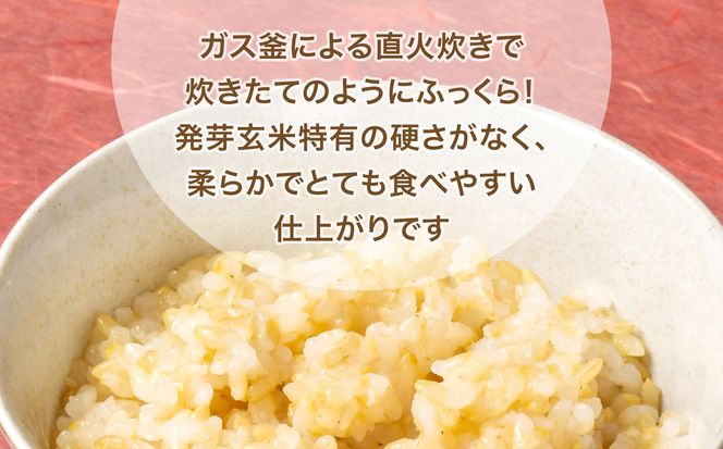 玄米 パックご飯 宮城県産「 金のいぶき 」発芽玄米 パック ごはん ( 150g × 12個×2箱　計24個)  金のおいしさ! ＜ 宮城のブランド玄米 ＞[ JA加美よつば農業協同組合 宮城県 加美町　yo-pg-kin-24s] レトルト ごはん ご飯 レトルトごはん レンジ レンチン かんたん パックライス ライス 米 簡単 お手軽 アウトドア 非常食 防災グッズ