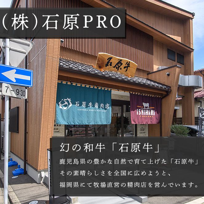 ＜数量限定＞石原牛 ヒレステーキ ヒレ(計480g・120g×4枚) 黒毛和牛 国産 九州産 鹿児島県産 牛肉 ブランド牛 和牛 ヒレ ステーキ 赤身 冷凍 贅沢 贅沢な一品 贈答用 ギフト用【株式会社石原PRO】akn083-10