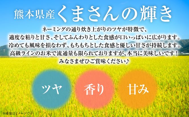 【令和7年産】 熊本県産 くまさんの輝き 5kg (5kg×1袋) 米 お米 精米 白米 ごはん ご飯 熊本