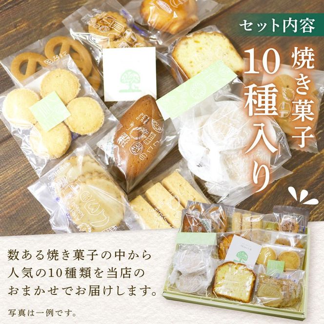 【オンライン決済限定】 先行予約：2024年 10月より発送 おまかせ 焼き菓子 10種セット お菓子 おかし 菓子 ギフト スイーツ みかん 藤枝市 静岡県