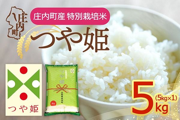 【令和8年産】庄内町産 特別栽培米 つや姫 5kg 5kg×1袋 余目産 余目町農協 あまるめ ブランド米 米 国産 単一原料米 山形 庄内平野 庄内
