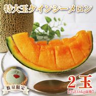 【2026年5月より順次発送】特大玉クインシーメロン(2玉)｜メロン クインシーメロン フルーツ 特大 果物 くだもの 先行予約 茨城県 行方市(BW-26)