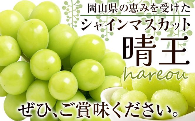 ぶどう [2025年先行予約] シャインマスカット 晴王 1.1kg (2房)《2025年9月中旬-11月上旬頃出荷》ハレノスイーツ 岡山中央卸売市場店 マスカット 送料無料 岡山県 浅口市 フルーツ 果物 贈り物 ギフト 国産 【配送不可地域あり】---124_c910_9c11j_24_28000_1100---