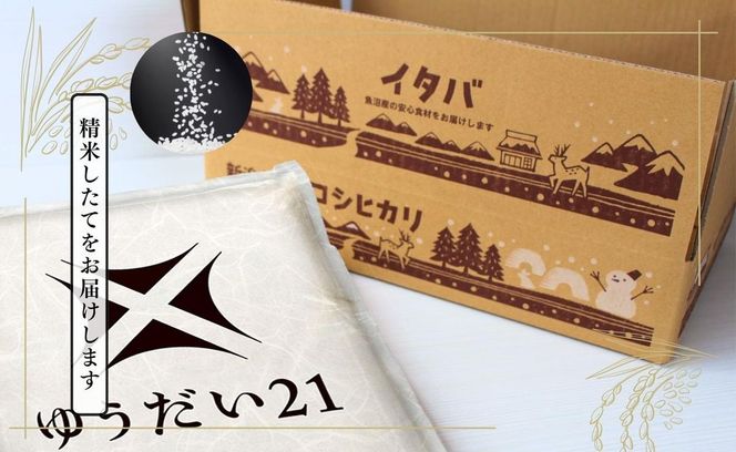 米 ゆうだい21 5kg 精米 白米 お米 希少 新潟米 十日町市