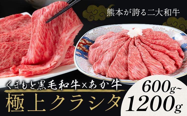 黒毛和牛 A4〜A5等級 あか牛 クラシタ 食べ比べ 霜降り 赤身 すき焼き しゃぶしゃぶ 600g 1200g 数量限定 牛肉 冷凍 くまもと黒毛和牛 [10月上旬-12月末頃出荷] 冷凍庫 個別 以内 ブランド牛 1kg 以上 1.2kg 赤身 霜降り お歳暮---mna_fakkmst_ac1012_r7_12000_600g---
