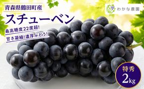 【園主厳選・特秀】奇跡のぶどう スチューベン 2kg　最高糖度22度超！ わかな農園