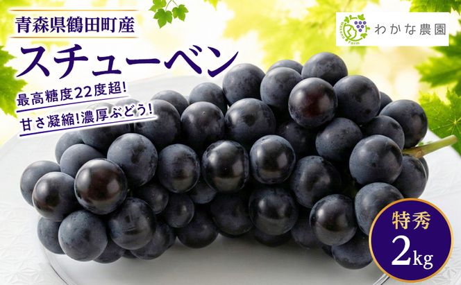 【園主厳選・特秀】奇跡のぶどう スチューベン 2kg　最高糖度22度超！ わかな農園
